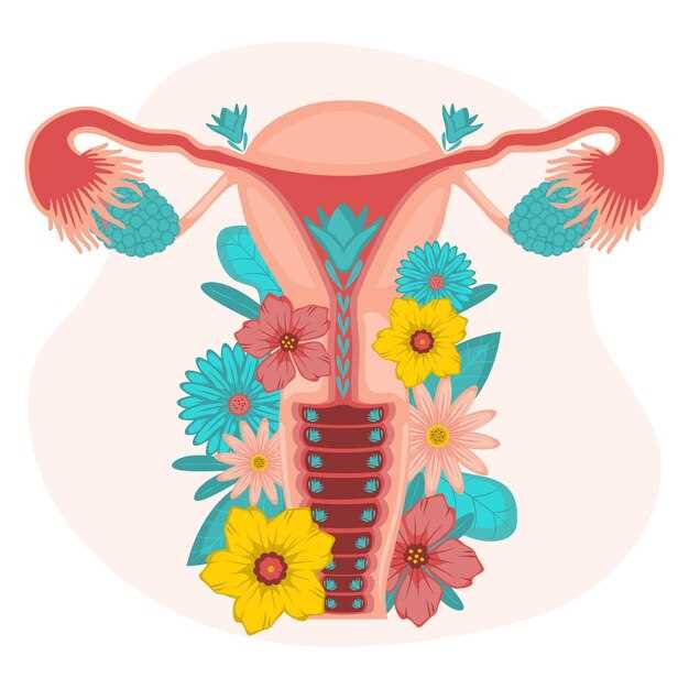 Мочевой пузырь - главный орган мочевыделительной системы у женщин