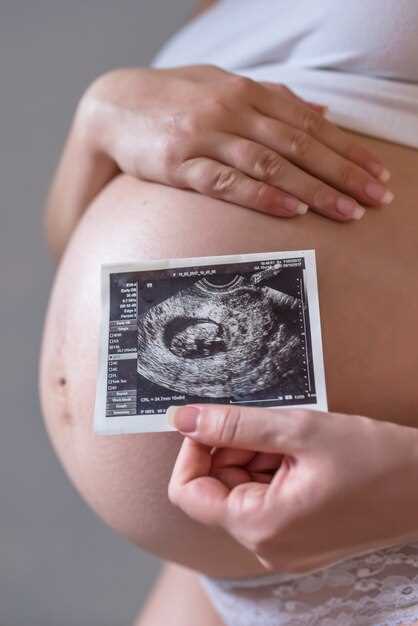 Третья неделя беременности: формирование основных органов и систем